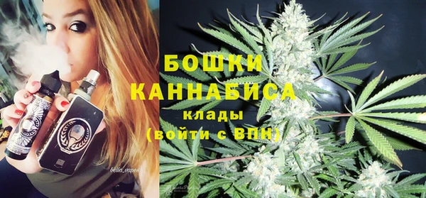 молекула духа Нязепетровск