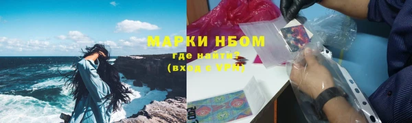 ПСИЛОЦИБИНОВЫЕ ГРИБЫ Няндома