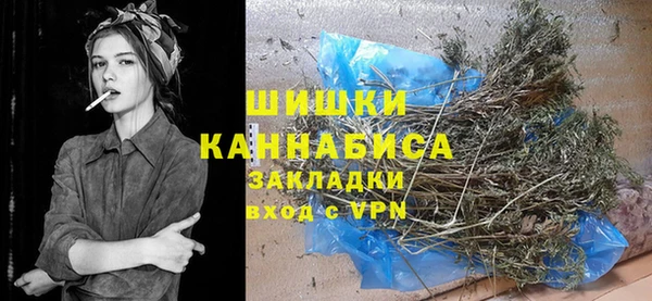 шишки Почеп