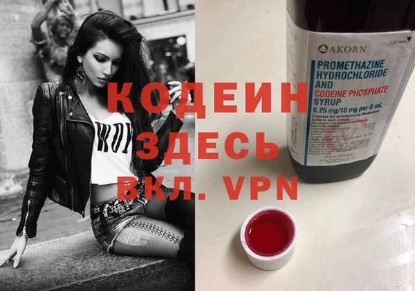 ПСИЛОЦИБИНОВЫЕ ГРИБЫ Няндома