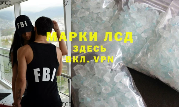 ПСИЛОЦИБИНОВЫЕ ГРИБЫ Няндома