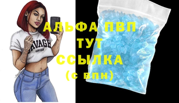 мяу мяу мука Бежецк